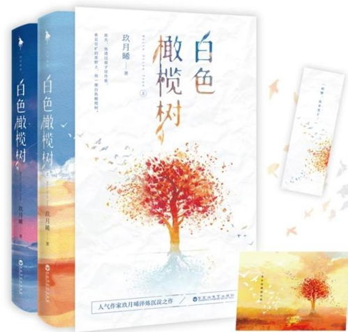 《白色橄榄树》：当战地女记者遇上爆破工程师