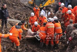 亲历美撞机事故救援：见证悲剧与希望