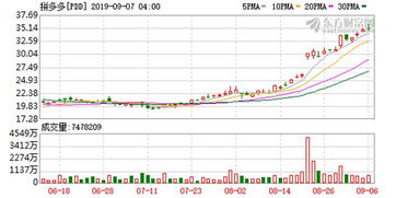 热门中概股多数上涨，拼多多涨超8%：市场回暖的信号