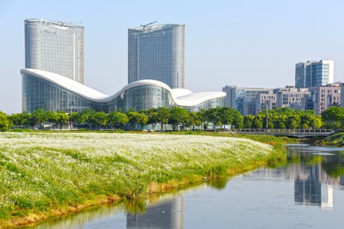 生态筑梦 向美而行：个人视角下的鲁企参展新篇章