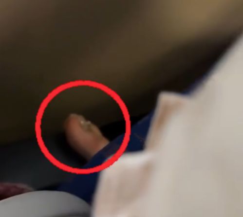 乘客“报复”后座将脚放到对方面前：春运路上的文明与反思