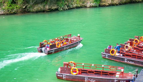 从游客视角看三亚西岛滞留事件：当美景遇上大客流