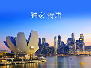 蒯曼崛起：从新星到大满贯女单十六强的蜕变