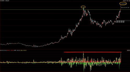 金价突破860元/克！我的跨城抢购之旅