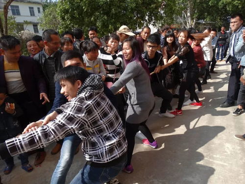 误解与真相：政府院内群众抱干部腿事件背后的官方通报