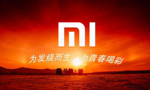 哨兵模式立大功：小米SU7服务区被恶意割胎，警方通报60岁嫌疑人已被刑拘