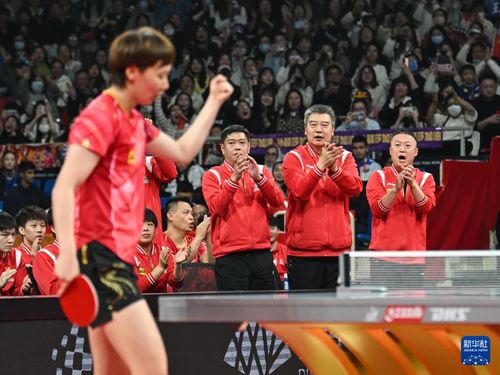 亚冬会中国队赛程看点：冰壶混双与男子冰球的精彩对决