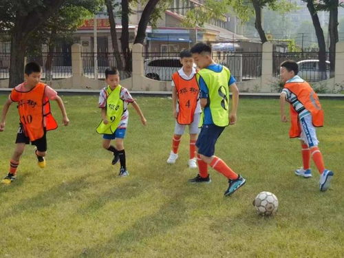 一起了解亚冬会里的黑色密码