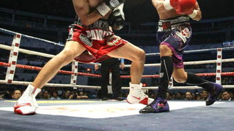 拳击初学者的必修课：学习挨打背后的智慧