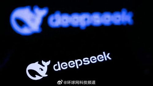 DeepSeek劝不了谷歌们：国产AI的崛起与挑战