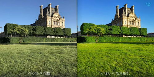 AI看双亚冬城市哈尔滨：冰雪与热情的交融