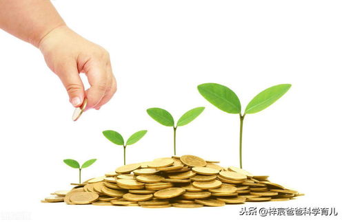 压岁钱由孩子花完：培养财商与责任感的最佳时机