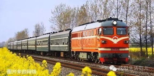 乘坐18小时火车后，47岁女子突然失控打人！医生提醒：警惕返程高峰中的“隐形杀手”