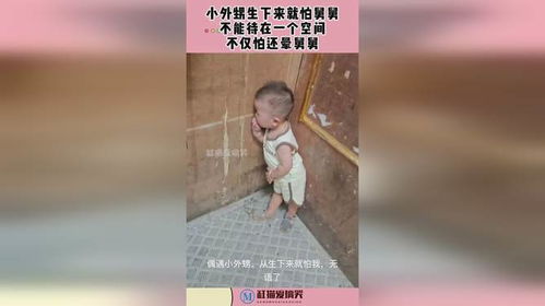 外甥怕舅舅能怕到什么程度？从传统习俗到家庭角色的深度解析