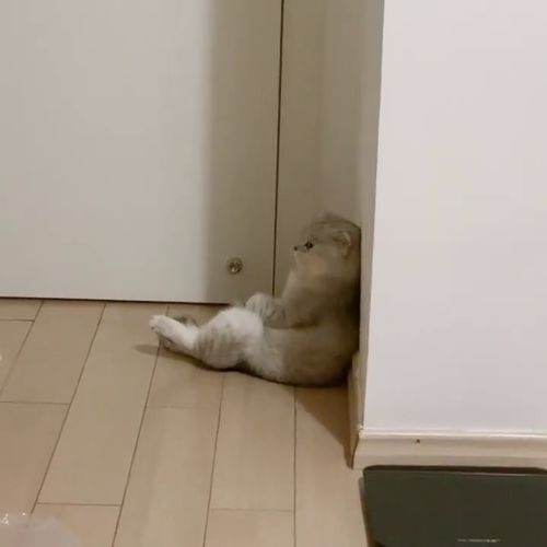 隔墙有“眼”！男子凿洞偷窥女邻居，行拘背后