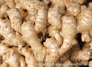 晚上吃姜赛砒霜？酸奶越稠越营养？这些健康谣言你信了吗？