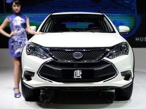 比亚迪涨停：中国汽车产业的崛起与未来