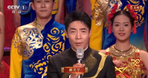 从蜡笔小新眉到春晚舞台：撒贝宁的幽默与魅力