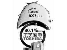 1元拍下公司80%股权：背后的故事与思考