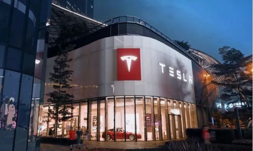 凌晨奇遇：特斯拉“哨兵”模式记录下的离奇事件