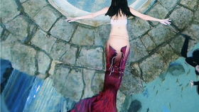 当‘男版美人鱼’在水中duang～duang～：一场别样的视觉盛宴