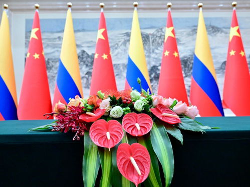 探索中哥友谊：建交45周年的珍贵时刻