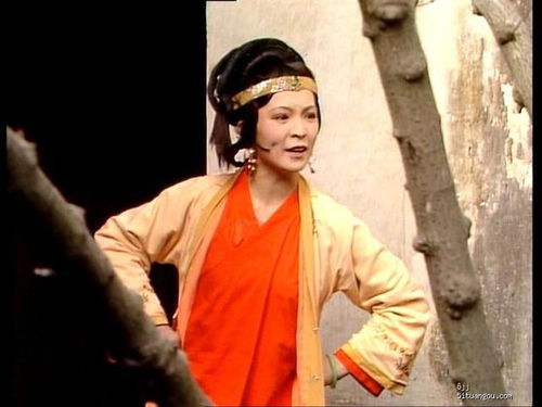 从薛姨妈视角看红楼家族婚姻选择的无奈与智慧