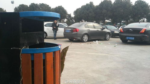 服务区垃圾桶惊现大量酥肉腊味，返程路上的牵挂与反思