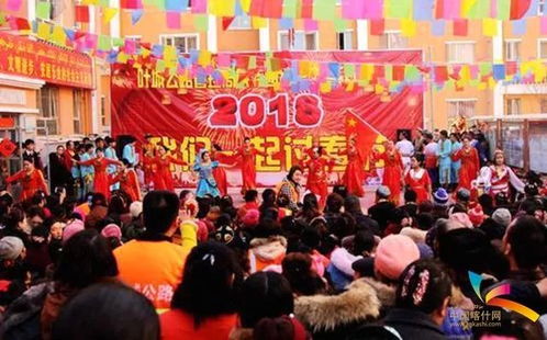 特殊春节彰显别样活力：从个人视角看新春盛景