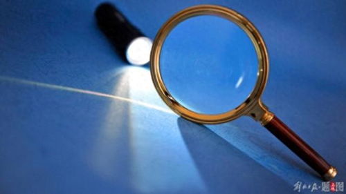 震惊！正部级“女老虎”李微微因“全家腐”被逮捕