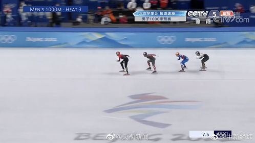 中国队晋级亚冬会混合团体接力决赛！范可新、刘少林领衔出战