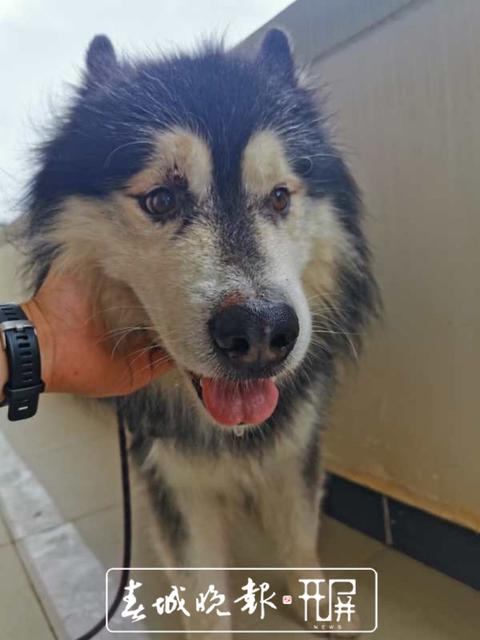 美国阿拉斯加失联飞机确认坠毁，机上10人全部遇难：一场悲剧的真相还原