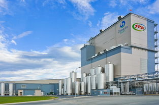 见证上海最大旧改项目启动：青浦凤溪“城中村”改造的宏伟蓝图