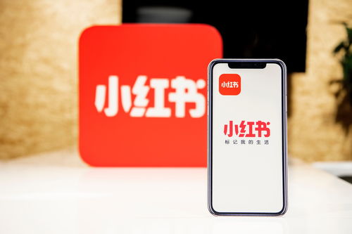 小红书上1.9元可买到枪版《哪吒2》：我的亲身经历与思考