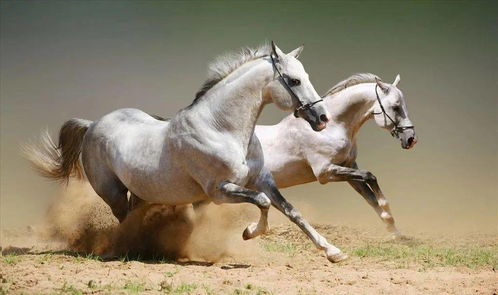 马斯克再陷风波：美国13州提起诉讼阻止其政府系统访问权限