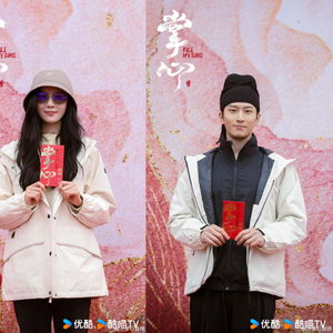 如何评价刘诗诗、窦骁主演的电视剧《掌心》？