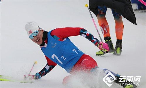 哈尔滨亚冬会8日看点：见证冰雪荣耀的巅峰时刻