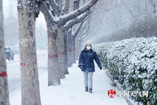 多地今冬最冷白天，我在寒风中感受极寒