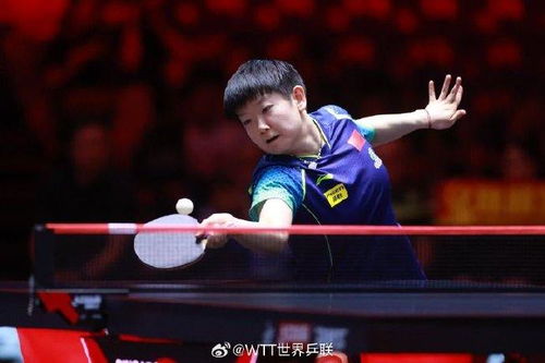 见证乒乓荣耀：孙颖莎4-1夺冠，蒯曼挺进世界前十