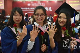 鹿童鹤童：研究生选错导师后的挣扎与成长