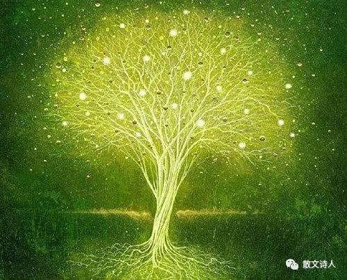 生命的树：在宇宙中寻找属于自己的果子