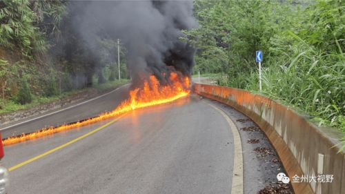惊魂一刻：高速行驶中塞国总统武契奇座驾轮胎脱落
