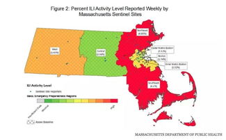 流感来袭！从个人视角看流感病例激增的真相与应对
