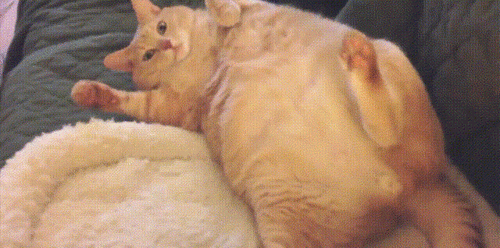 原来长胖是有预兆的！这些信号你一定要注意