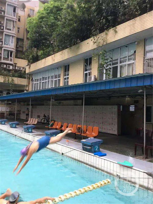 刘洪局长喊你来收土拨鼠了：从网红到实干派的转变