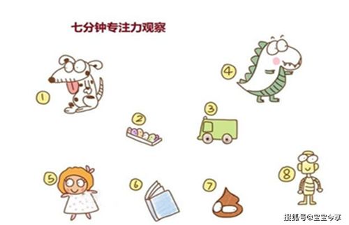 测测你的专注力：从日常选择中发现内心的力量