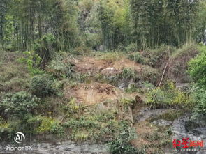 亲历四川宜宾山体滑坡：危急时刻的生命救援