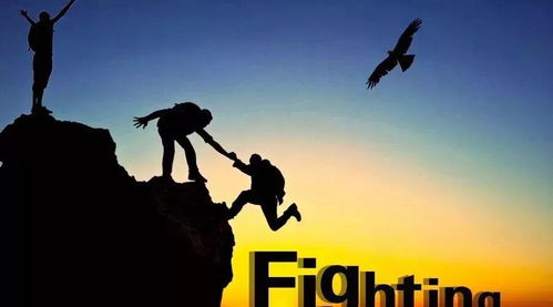 走心的陪伴：在喧嚣世界中找到温暖的力量