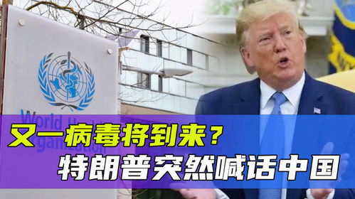 特朗普视角下的中美教育与关系：个人观察与思考