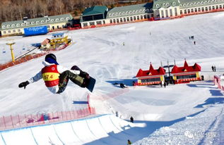 见证中国自由式滑雪空中技巧的荣耀时刻